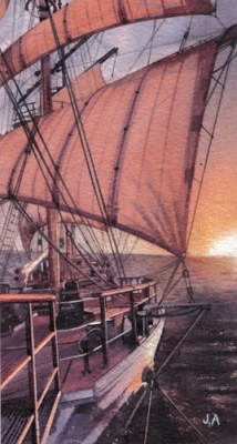 Tall Ships Race